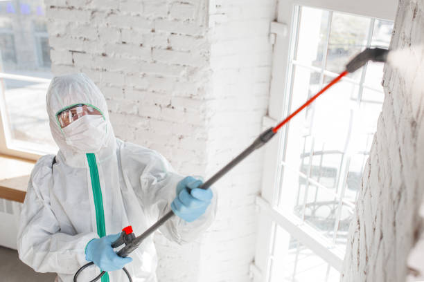 Ocean Gate, NJ Mold Removal Company