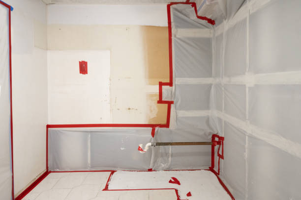 Best Dehumidification Services  in Ocean Gate, NJ