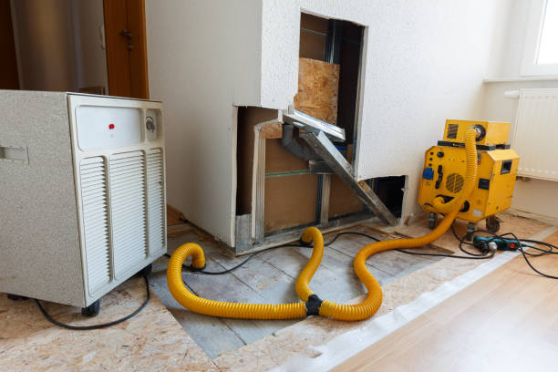 Best Emergency Mold Remediation  in Ocean Gate, NJ