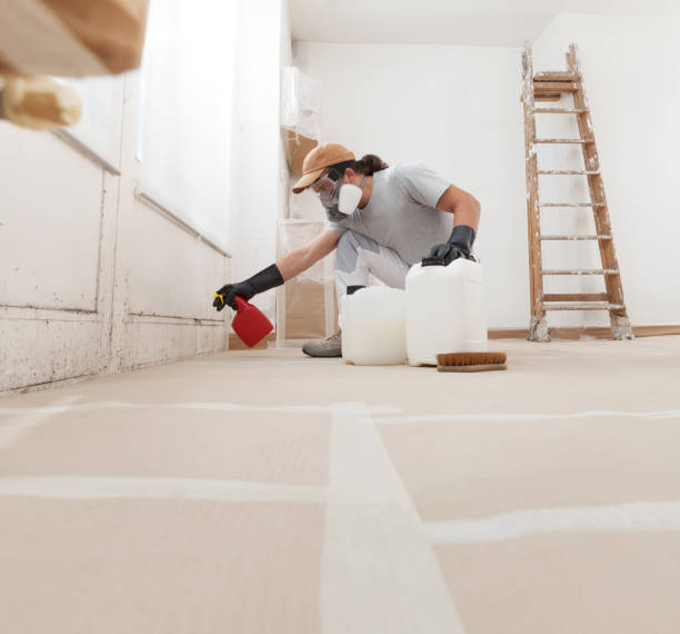 Best Mold Remediation for Rental Properties  in Ocean Gate, NJ